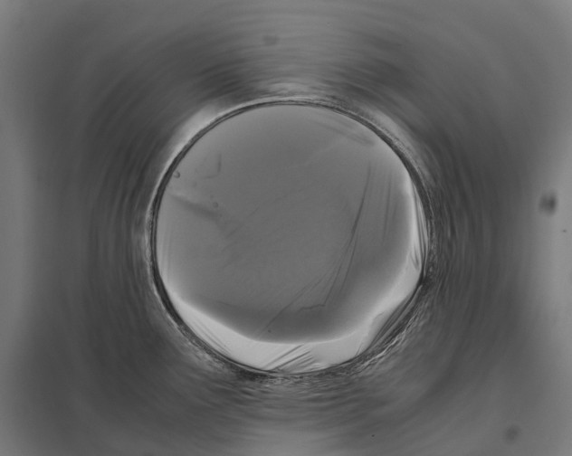 X0000097641291200803281115