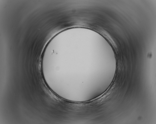 X0000097641292200803281115