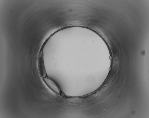 X0000097641293200803281115