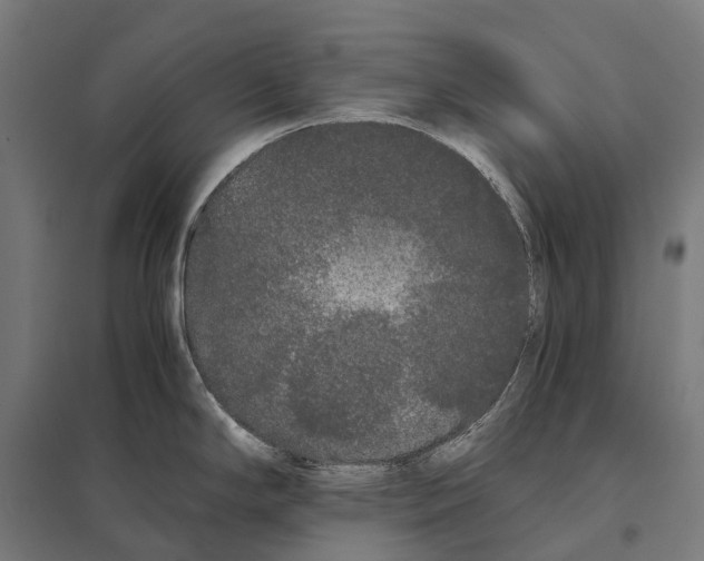 X0000097641294200803281115