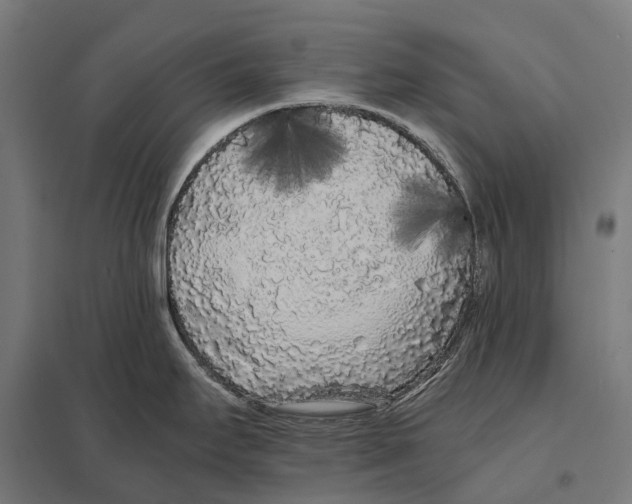 X0000097641295200803281115