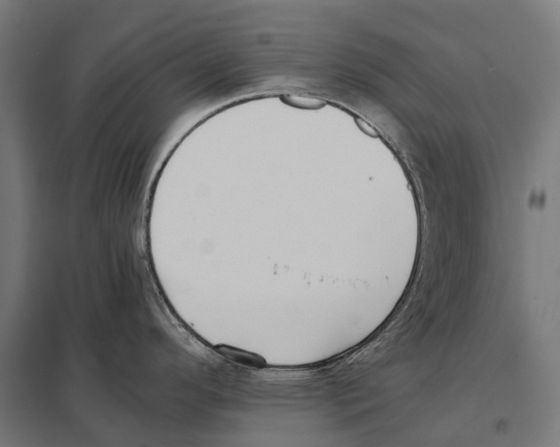 X0000097641296200803281115