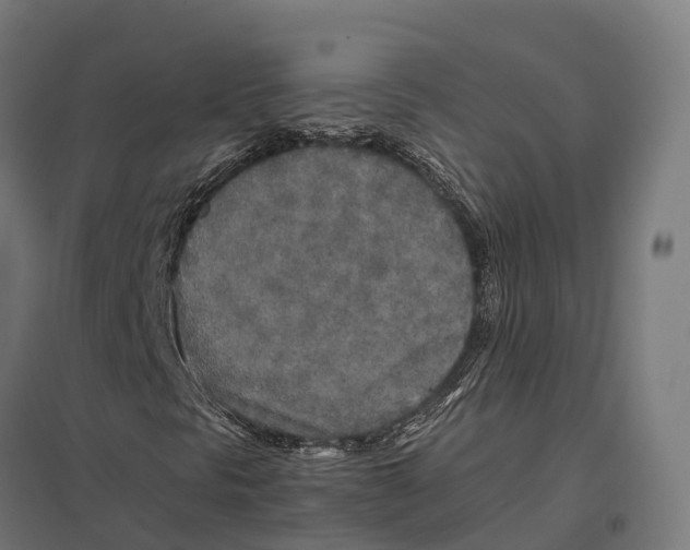 X0000097641297200803281114