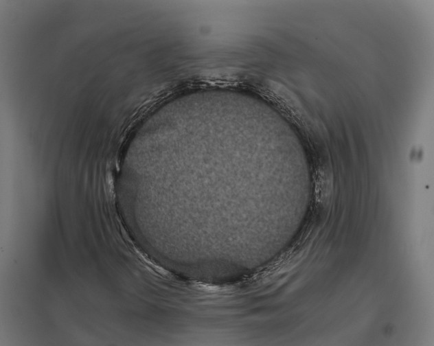 X0000097641298200803281114