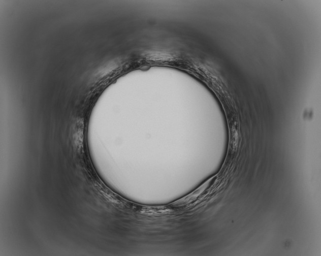 X0000097641301200803281114