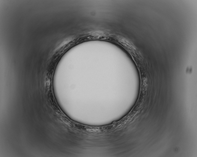 X0000097641302200803281114