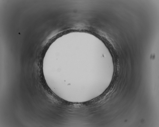 X0000097641304200803281114