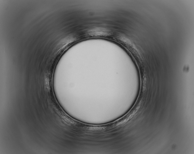 X0000097641305200803281114