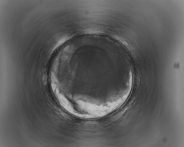 X0000097641306200803281114