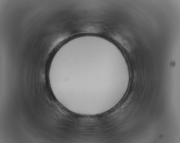 X0000097641307200803281114