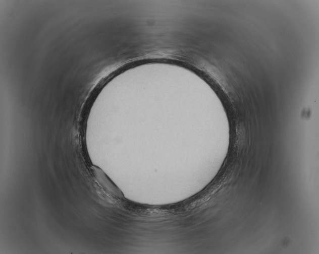 X0000097641308200803281114