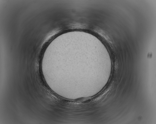 X0000097641309200803281114