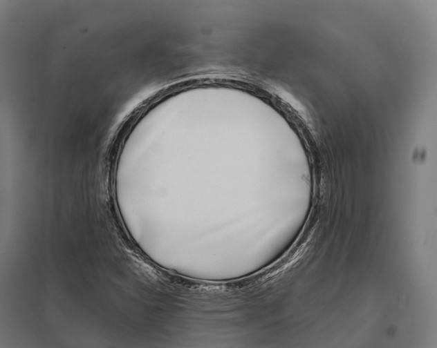 X0000097641310200803281114