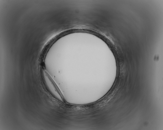 X0000097641311200803281114