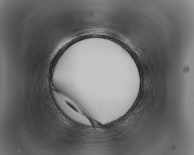 X0000097641312200803281114