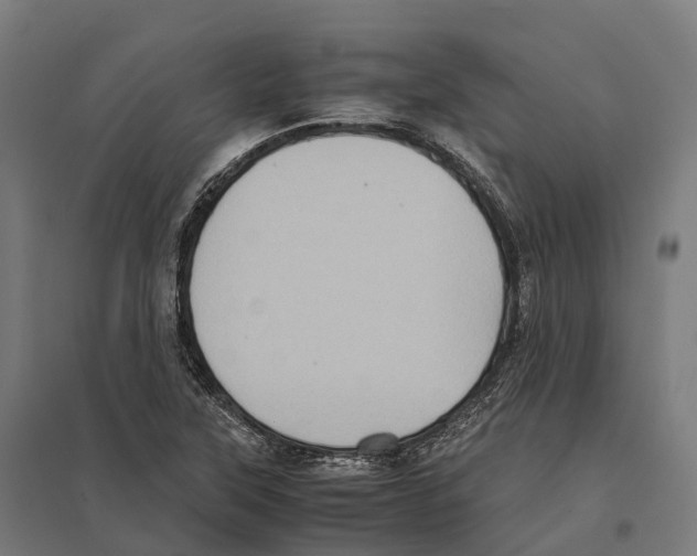 X0000097641315200803281114