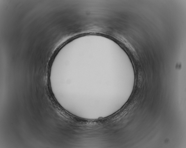 X0000097641316200803281114