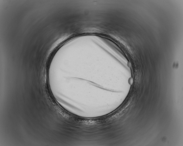 X0000097641317200803281114