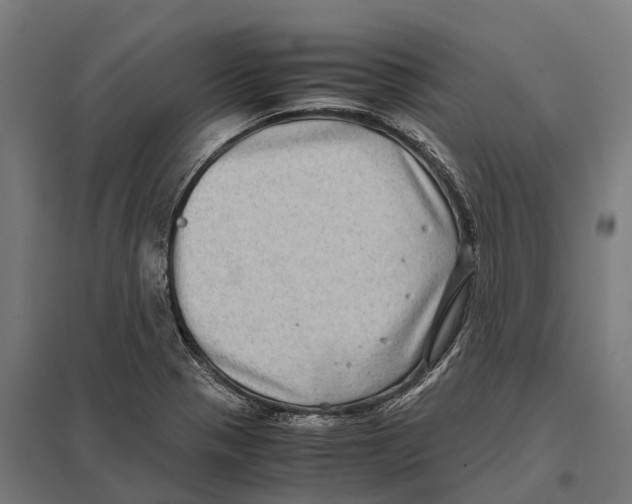 X0000097641321200803281114