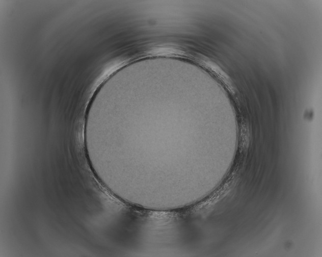 X0000097641322200803281114