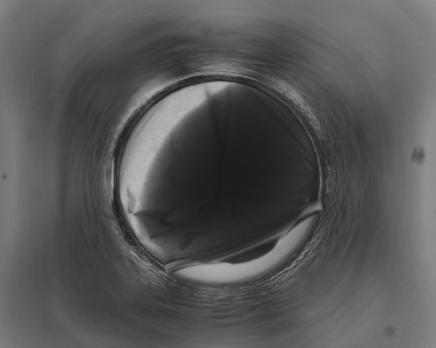 X0000097641323200803281114