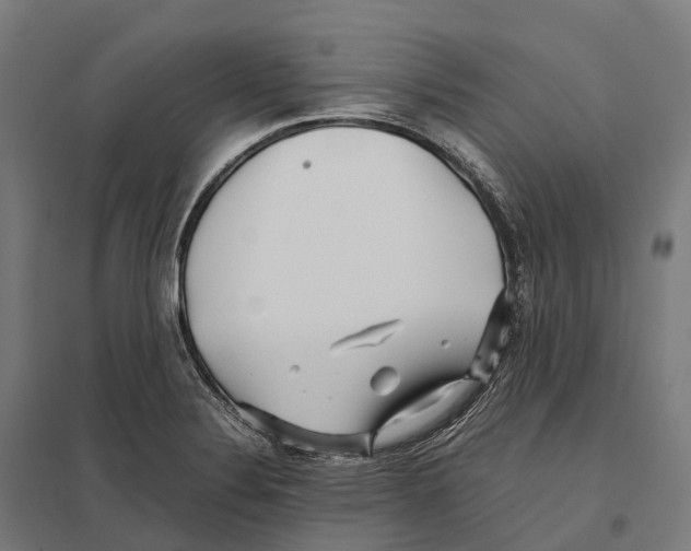 X0000097641324200803281114