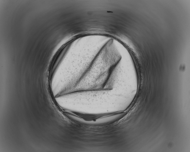 X0000097641325200803281114