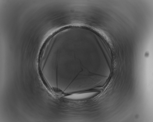 X0000097641327200803281114