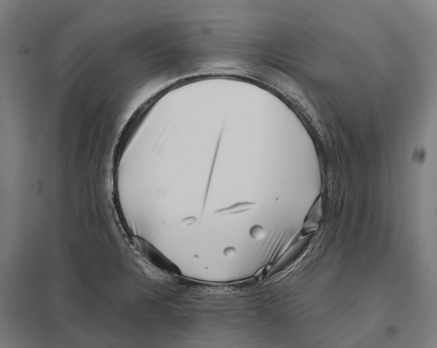 X0000097641328200803281114