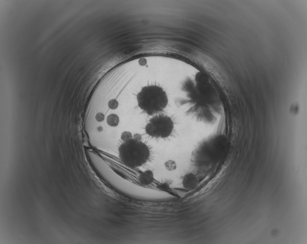 X0000097641329200803281114