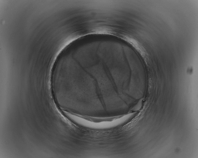 X0000097641331200803281114