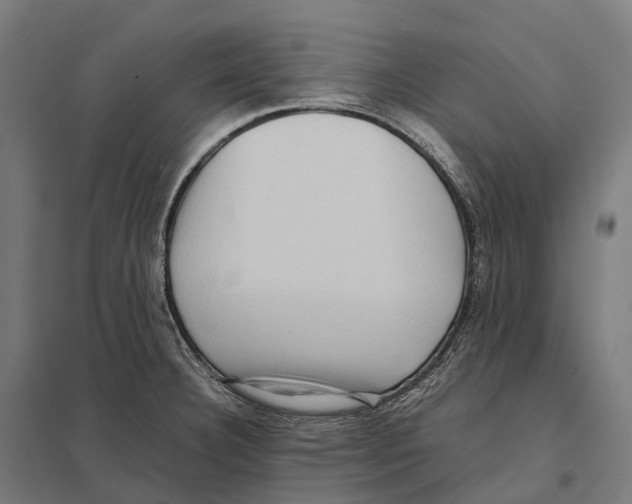 X0000097641332200803281114