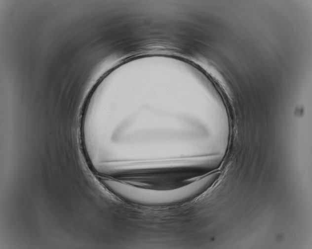 X0000097641333200803281114