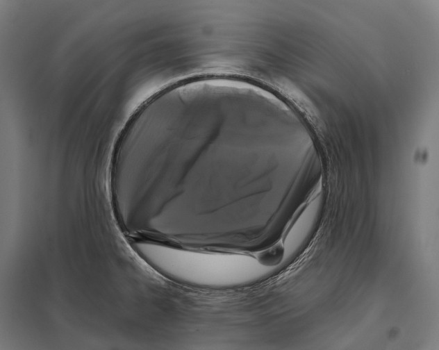 X0000097641334200803281114