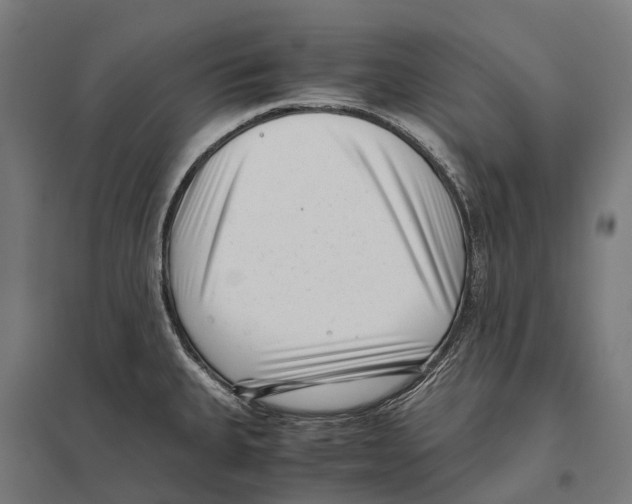 X0000097641335200803281114