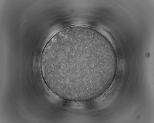 X0000097641338200803281114