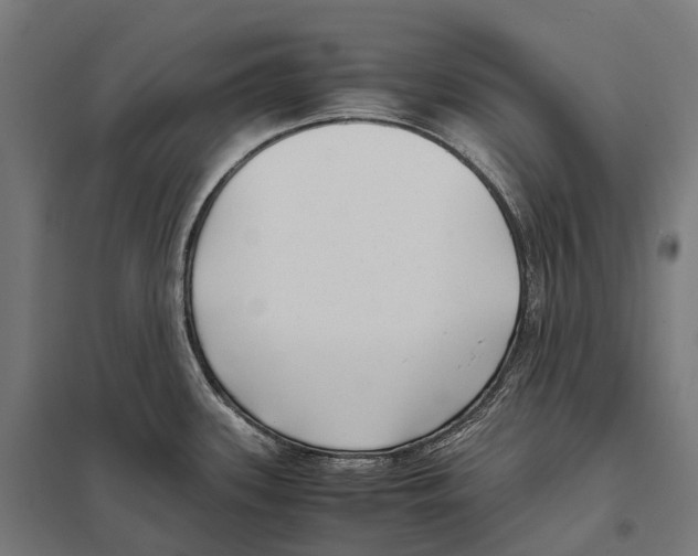 X0000097641339200803281114