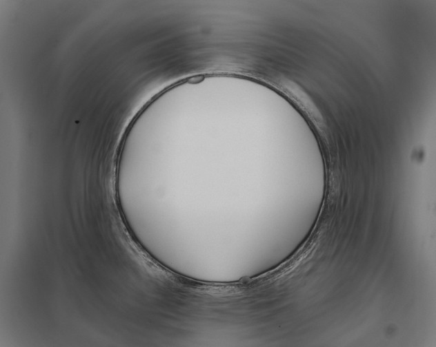 X0000097641340200803281114