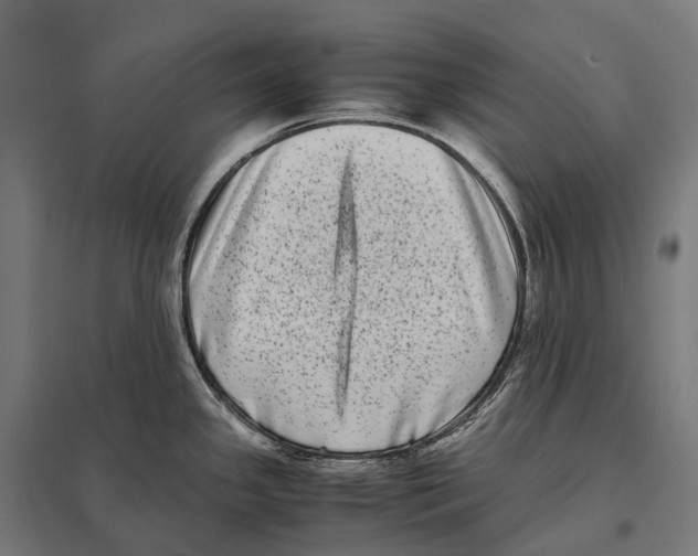 X0000097641341200803281114