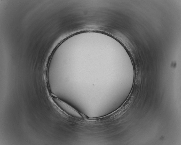 X0000097641342200803281115