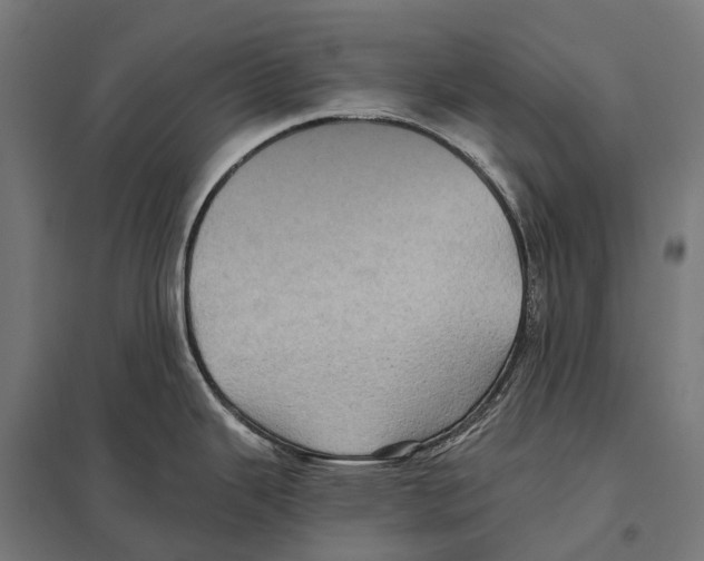 X0000097641343200803281115