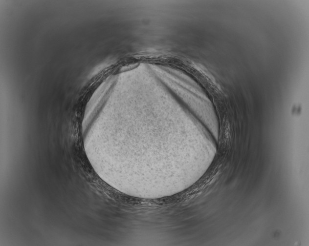 X0000097641350200803281114