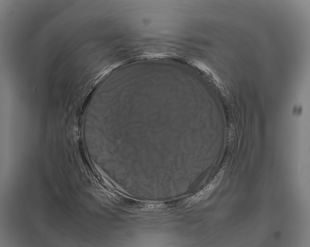 X0000097641353200803281114