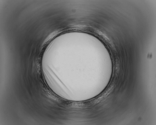 X0000097641354200803281114