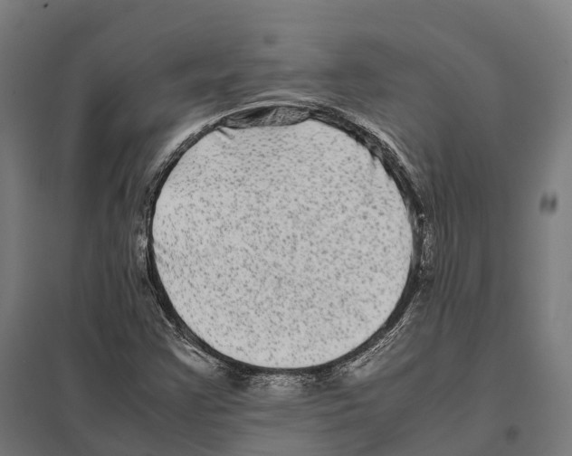 X0000097641355200803281114