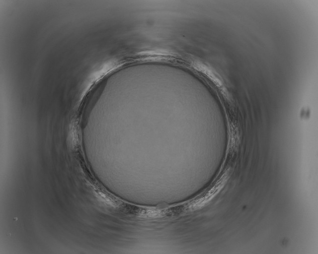 X0000097641357200803281114