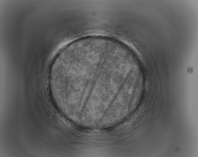 X0000097641359200803281114