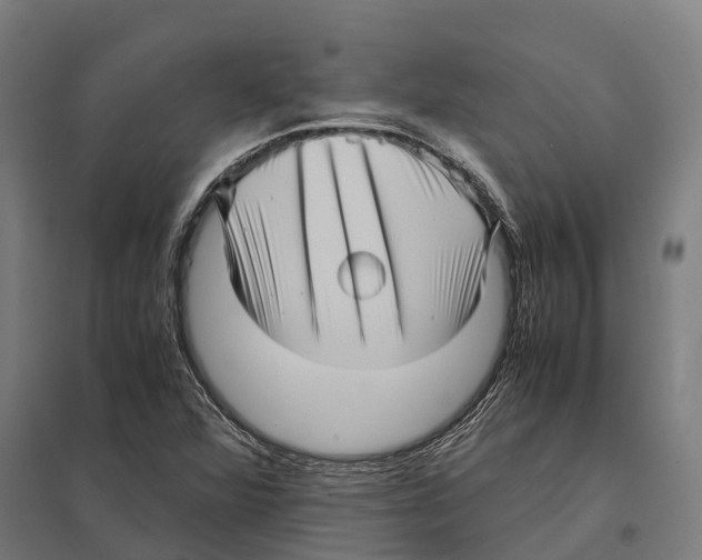 X0000097641360200803281114