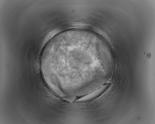 X0000097641362200803281114