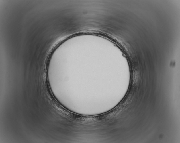 X0000097641363200803281114